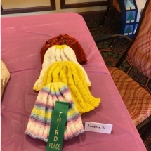 State Fair Celebration-Oak Park Senior Living-colorful knit hat won third place
